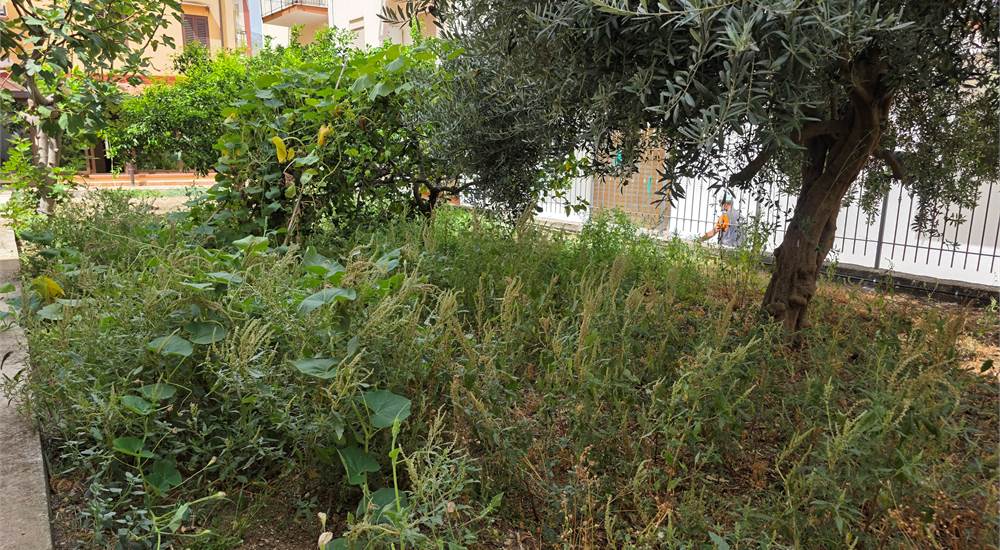 Photo 22