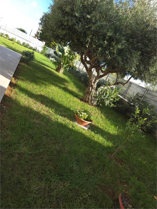 Photo 191